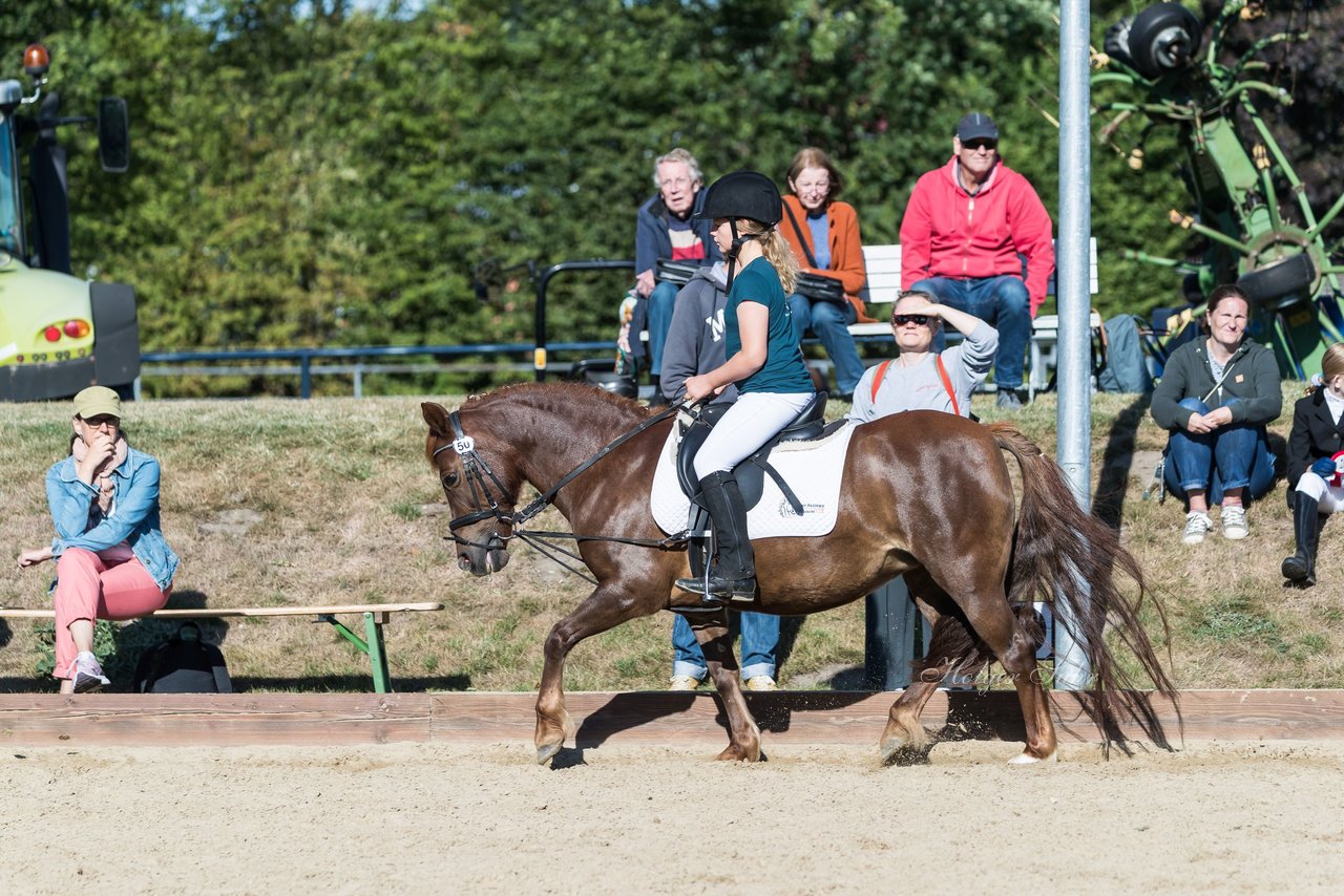 Bild 22 - Pony Akademie Turnier